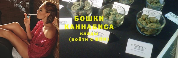 PSILOCYBIN Костерёво