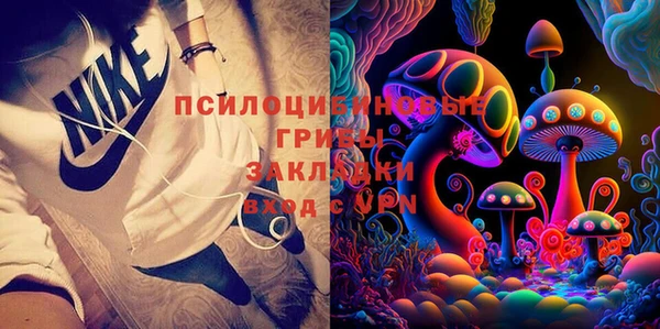 PSILOCYBIN Костерёво