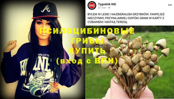MDMA Premium VHQ Коряжма