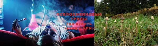 PSILOCYBIN Костерёво